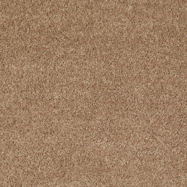 Shaw Floors Retail FULL COURT 15' - 00202 GOLDEN ECHOES