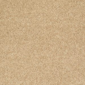 Shaw Floors Retail FULL COURT 15' - 00203 CRUMPET