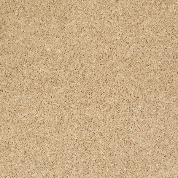 Shaw Floors Retail FULL COURT 15' - 00203 CRUMPET