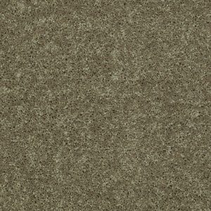 Shaw Floors Retail FULL COURT 15' - 00300 ALOE