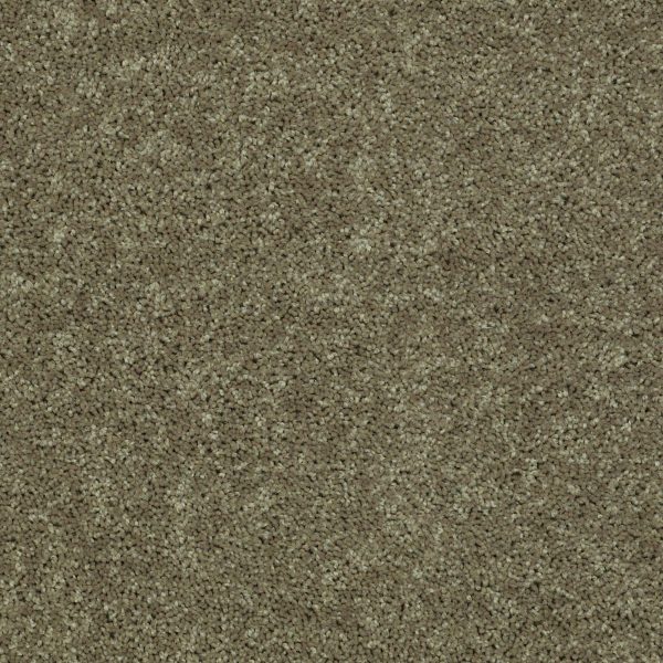 Shaw Floors Retail FULL COURT 15' - 00300 ALOE