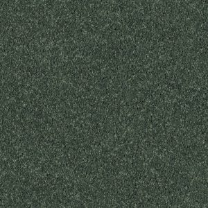 Shaw Floors Retail FULL COURT 15' - 00340 GOING GREEN