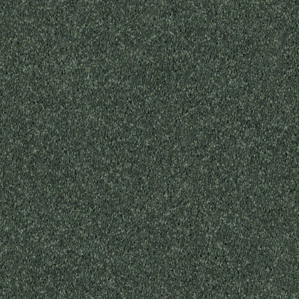 Shaw Floors Retail FULL COURT 15' - 00340 GOING GREEN