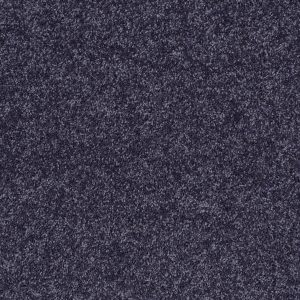 Shaw Floors Retail FULL COURT 15' - 00410 DENIM