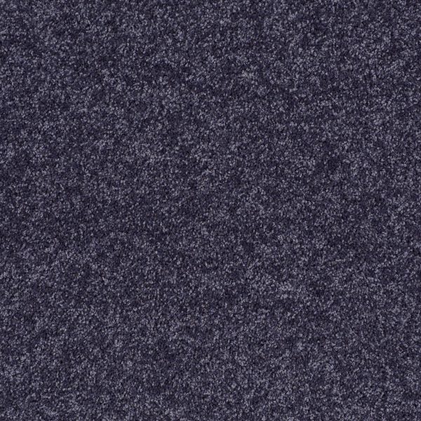 Shaw Floors Retail FULL COURT 15' - 00410 DENIM