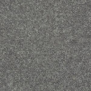 Shaw Floors Retail FULL COURT 15' - 00501 INK SPOT