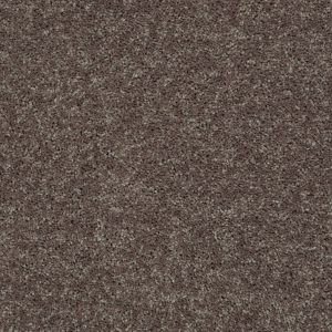Shaw Floors Retail FULL COURT 15' - 00703 DRIFTWOOD