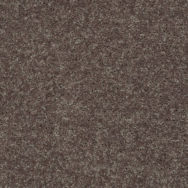 Shaw Floors Retail FULL COURT 15' - 00703 DRIFTWOOD