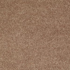 Shaw Floors Retail FULL COURT 15' - 00704 TAFFY
