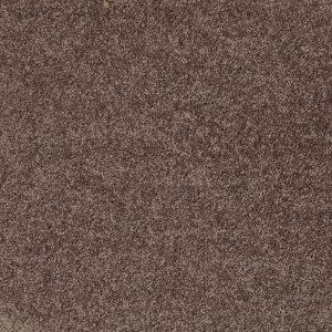 Shaw Floors Retail FULL COURT 15' - 00710 MOLASSES