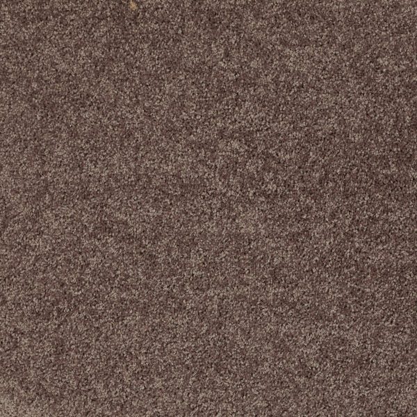 Shaw Floors Retail FULL COURT 15' - 00710 MOLASSES