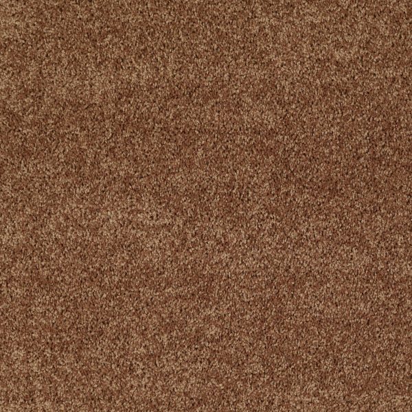Shaw Floors Retail FULL COURT 15' - 00721 DESERT SUNRISE