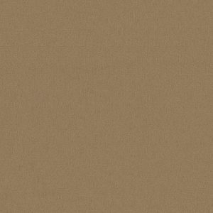 Philadelphia Main St EMPHATIC II 30 - 00144 CANYON DUST
