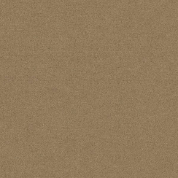 Philadelphia Main St EMPHATIC II 30 - 00144 CANYON DUST