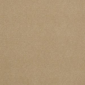 Philadelphia Main St EMPHATIC II 36 - 00115 SAND PEBBLE