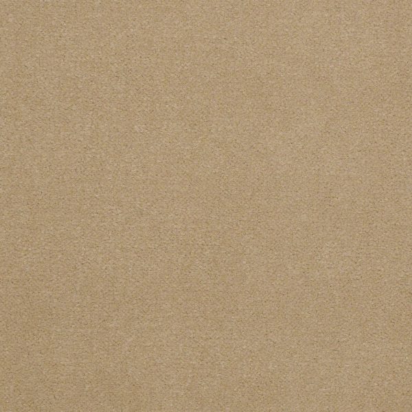 Philadelphia Main St EMPHATIC II 36 - 00115 SAND PEBBLE