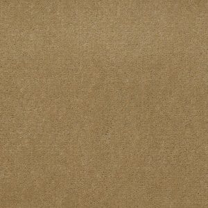 Philadelphia Main St EMPHATIC II 36 - 00191 BUTTERSCOTCH