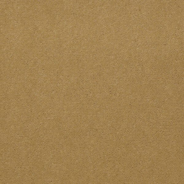 Philadelphia Main St EMPHATIC II 36 - 00243 HONEYWHEAT