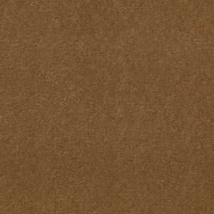 Philadelphia Main St EMPHATIC II 36 - 00250 CAJUN