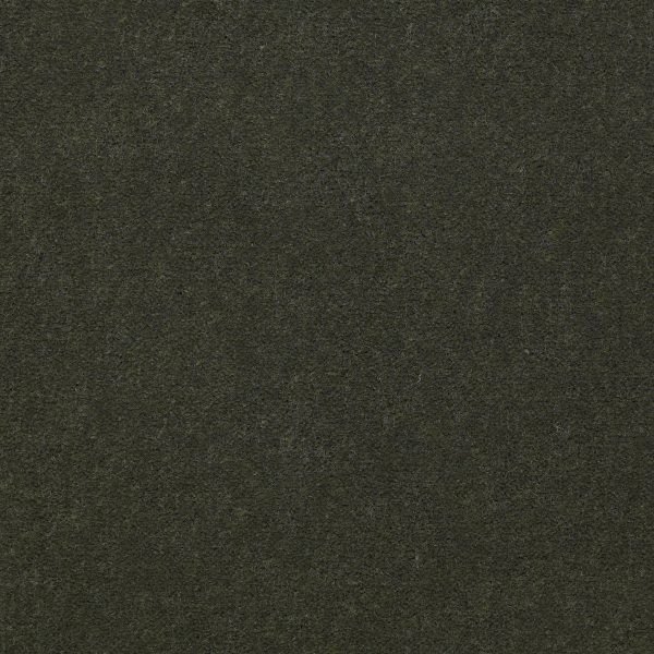 Philadelphia Main St EMPHATIC II 36 - 00314 THYME