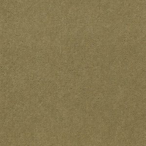 Philadelphia Main St EMPHATIC II 36 - 00321 TEA GREEN