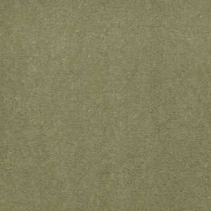 Philadelphia Main St EMPHATIC II 36 - 00370 ISLAND GREEN