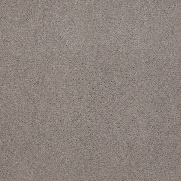 Philadelphia Main St EMPHATIC II 36 - 00510 GRAY HARE