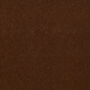 Philadelphia Main St EMPHATIC II 36 - 00722 CINNAMON SUGAR