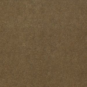 Philadelphia Main St EMPHATIC II 36 - 00755 OLIVE TWIST