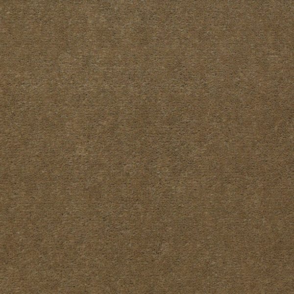 Philadelphia Main St EMPHATIC II 36 - 00755 OLIVE TWIST