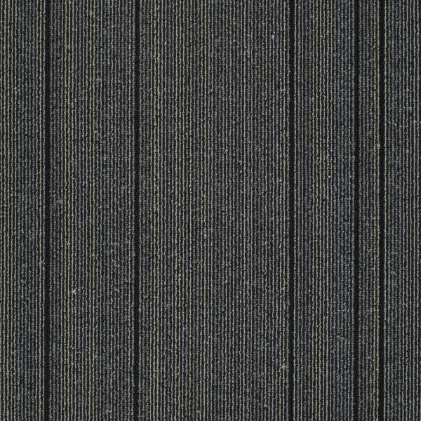 Philadelphia Main St WIRED - 00598 STARTLED 24 in x 24 in
