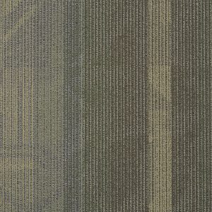 PhiladelphiaContract FEEDBACK - 00303 SIGNAL 24 in x 24 in
