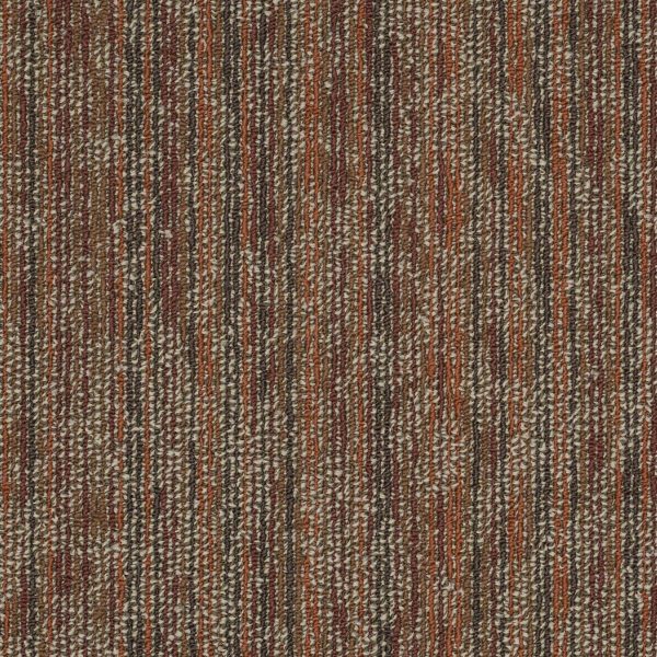 PhiladelphiaContract AMAZE - 00800 SHOCK 24 in x 24 in