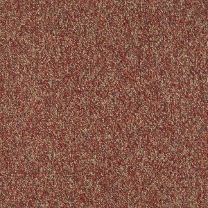 Philadelphia Main St FRANCHISE II 28 - 00820 RAISINBERRY