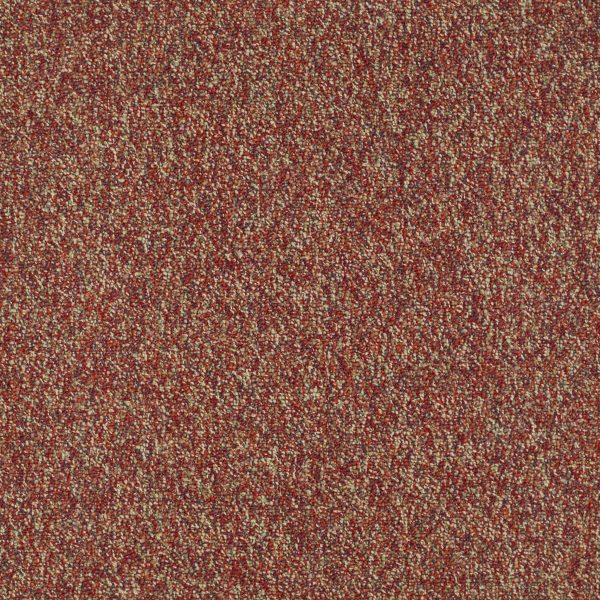 Philadelphia Main St FRANCHISE II 28 - 00820 RAISINBERRY