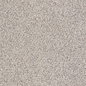 Shaw Floors Retail TAKE THE FLOOR ACCENT I - 00180 ITALIANO