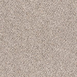 Shaw Floors Retail TAKE THE FLOOR ACCENT I - 00181 RIVERBED