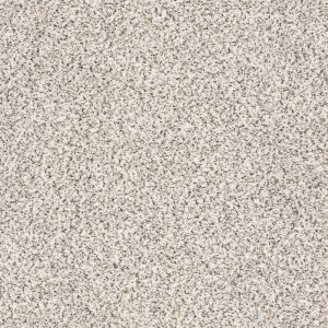 Shaw Floors Retail TAKE THE FLOOR ACCENT I - 00183 AVALANCHE