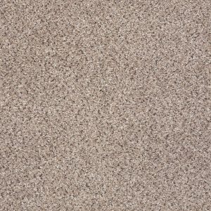 Shaw Floors Retail TAKE THE FLOOR ACCENT I - 00186 EVEREST