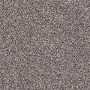 Shaw Floors Retail TAKE THE FLOOR ACCENT I - 00581 SOAPSTONE
