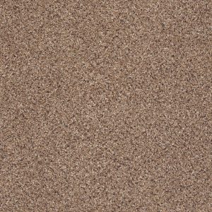 Shaw Floors Retail TAKE THE FLOOR ACCENT I - 00780 BALTIC BROWN