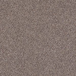 Shaw Floors Retail TAKE THE FLOOR ACCENT I - 00781 STORM