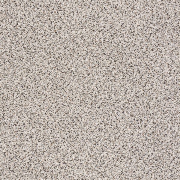 Shaw Floors Retail TAKE THE FLOOR ACCENT II - 00180 ITALIANO
