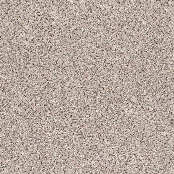 Shaw Floors Retail TAKE THE FLOOR ACCENT II - 00181 RIVERBED