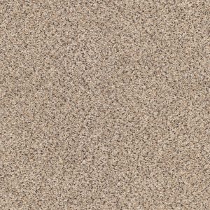 Shaw Floors Retail TAKE THE FLOOR ACCENT II - 00182 DESERT SUNRISE
