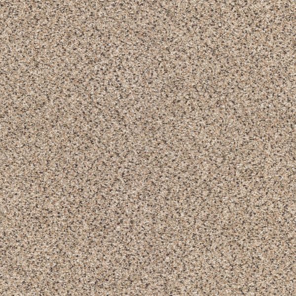 Shaw Floors Retail TAKE THE FLOOR ACCENT II - 00182 DESERT SUNRISE