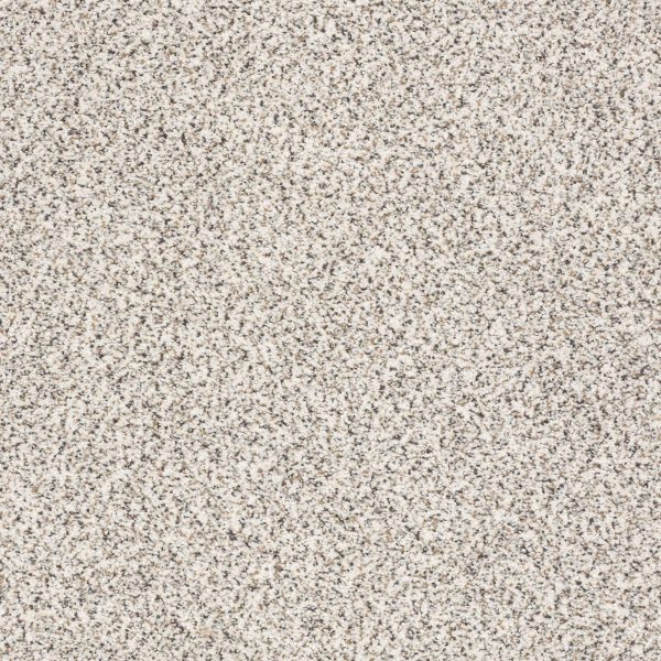 Shaw Floors Retail TAKE THE FLOOR ACCENT II - 00183 AVALANCHE