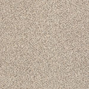Shaw Floors Retail TAKE THE FLOOR ACCENT II - 00184 LUNA