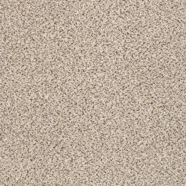Shaw Floors Retail TAKE THE FLOOR ACCENT II - 00184 LUNA