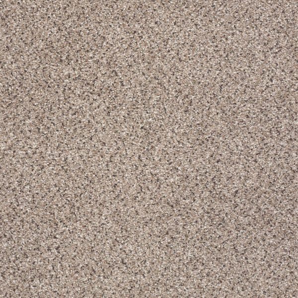 Shaw Floors Retail TAKE THE FLOOR ACCENT II - 00186 EVEREST
